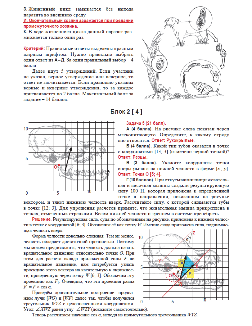 Олимпиада 